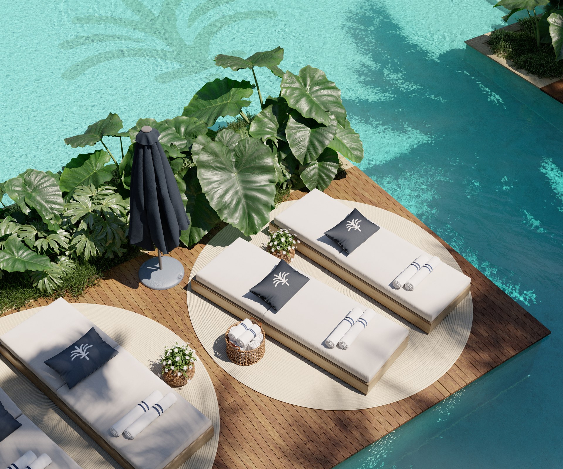 Tropicale 3